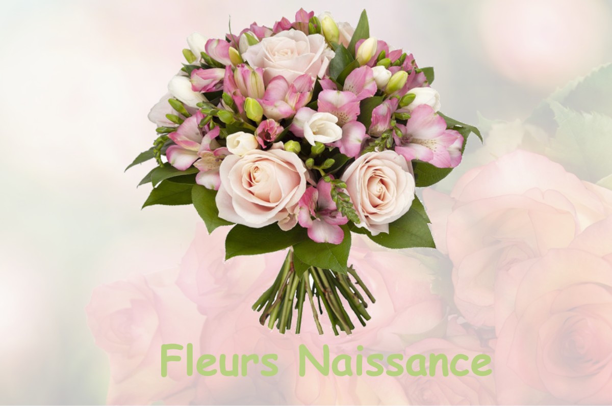 fleurs naissance CHICHILIANNE