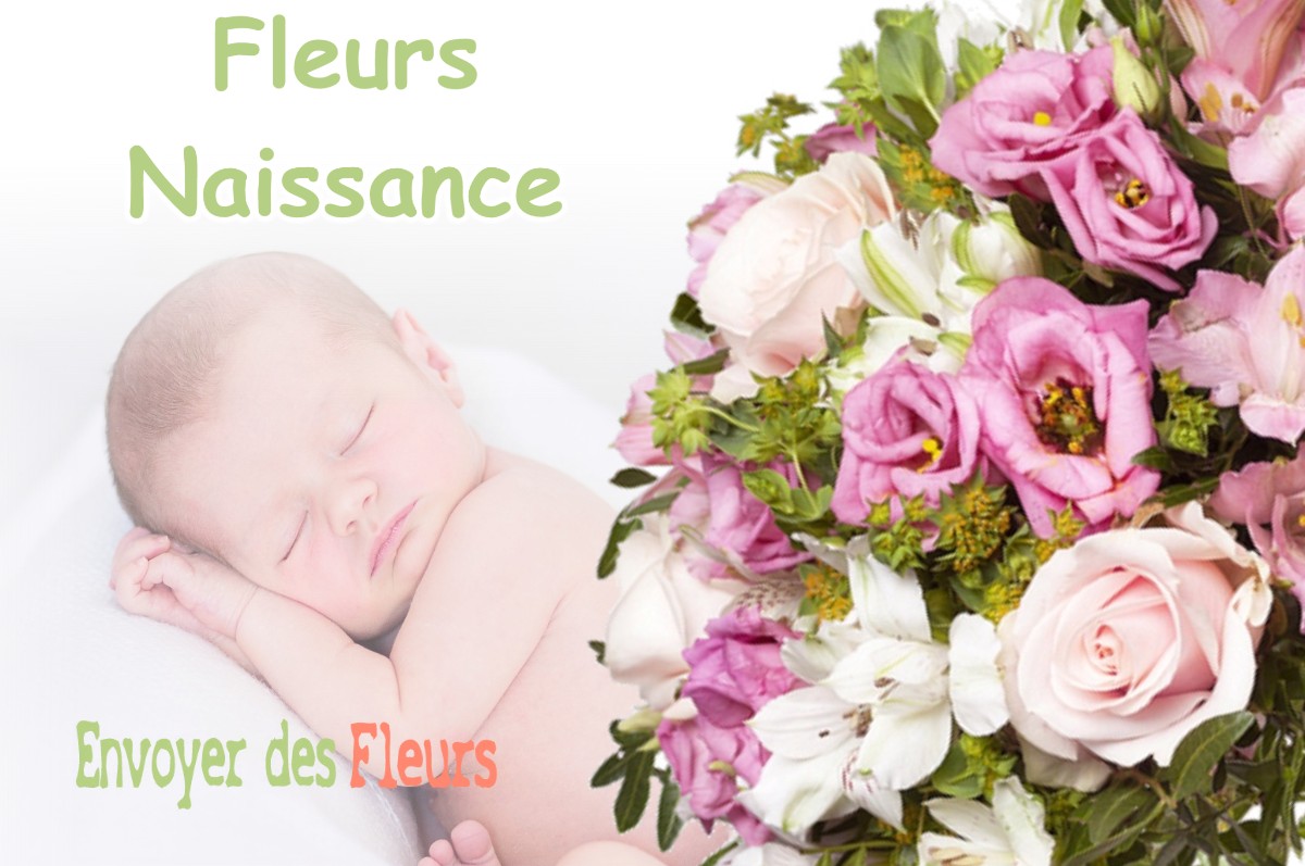 lIVRAISON FLEURS NAISSANCE à CHICHILIANNE